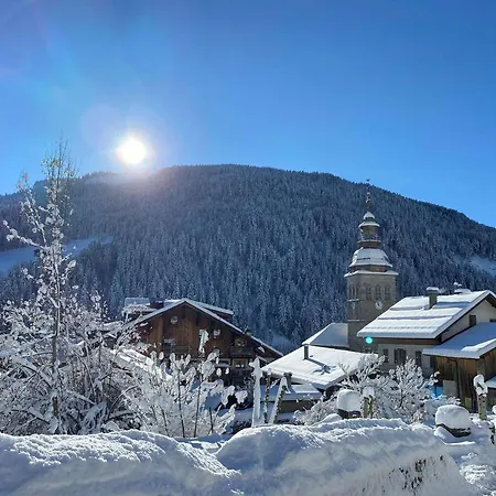 Le Grand-bornand, 1 Pièce, 4 Personnes - Fr-1-458-111 Appartement